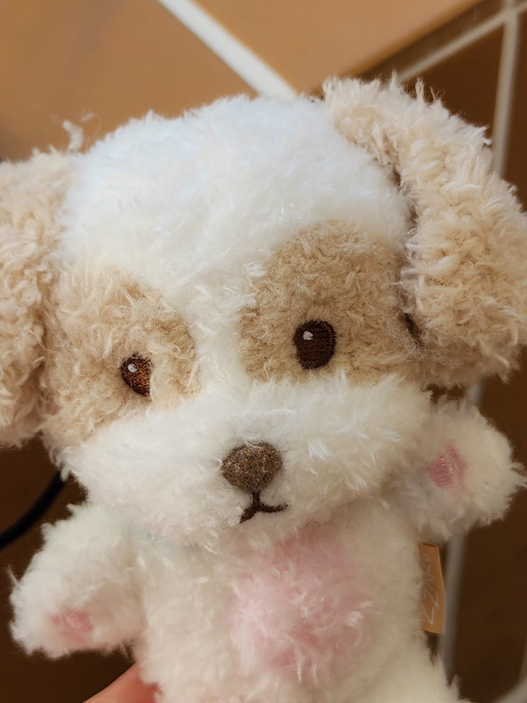 엑소 찬열 10CM 인형(짜르), 키링 체리모자, 포토카드 언박싱 엑소 찬열 10CM 인형(짜르), 키링 체리모자, 포토카드 언박싱