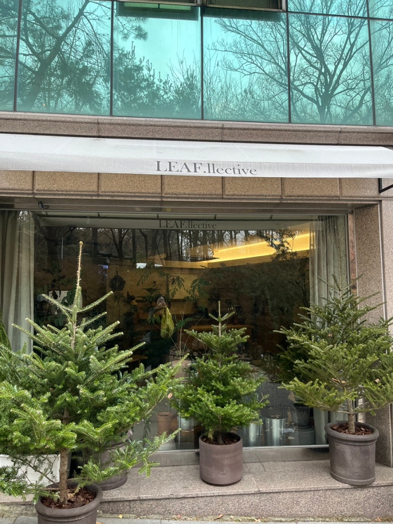 24년 12월 일기(2) : 네이버 블로그