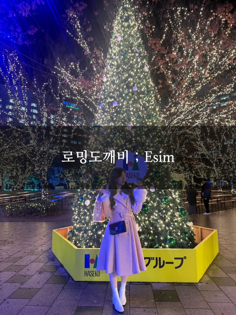 [로밍도깨비] 일본 후쿠오카 이심 Esim 실사용 후기