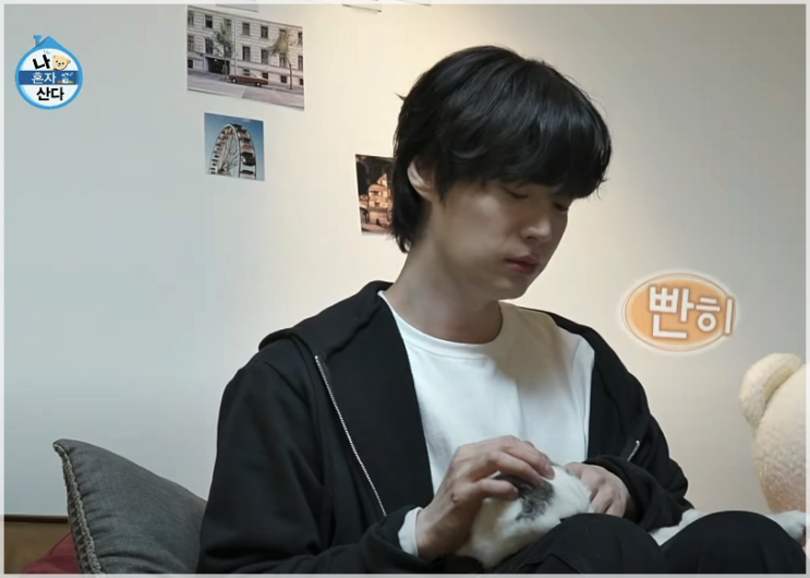 나혼자 산다 시청률 하락의 원인 (안재현, <b>이주승</b> 때문이라고?)