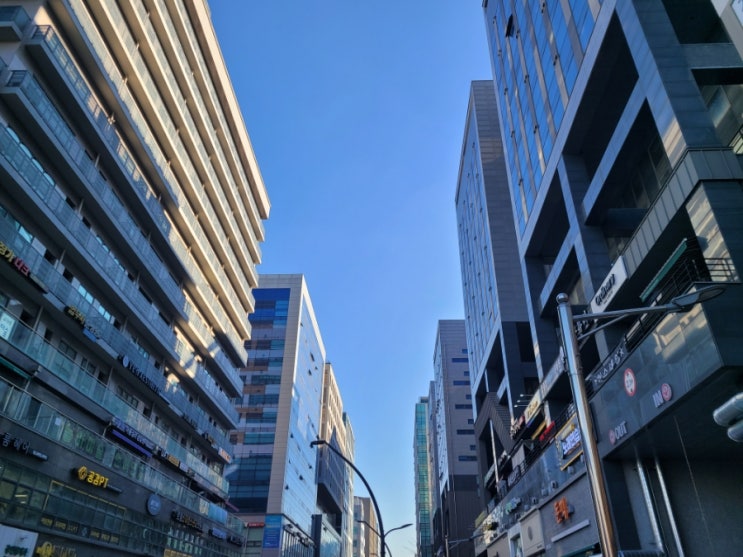 부동산 임장 <b>크루 뜻</b>을 알아보자