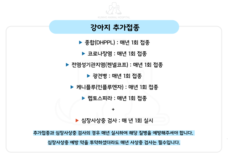  광주 강아지 추가 예방접종 및 접종 할인 안내 [광주 서구 동물병원, 금호동 동물병원, 광주 치과 동물병원]