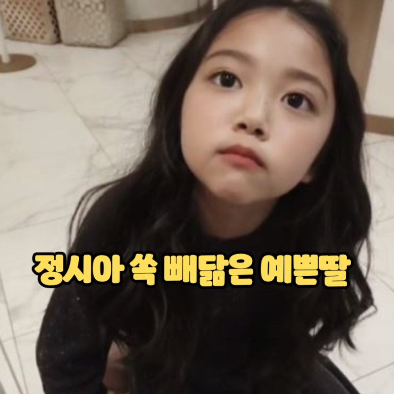 정시아 딸 백서우 근황 명문 예원학교 미술 합격