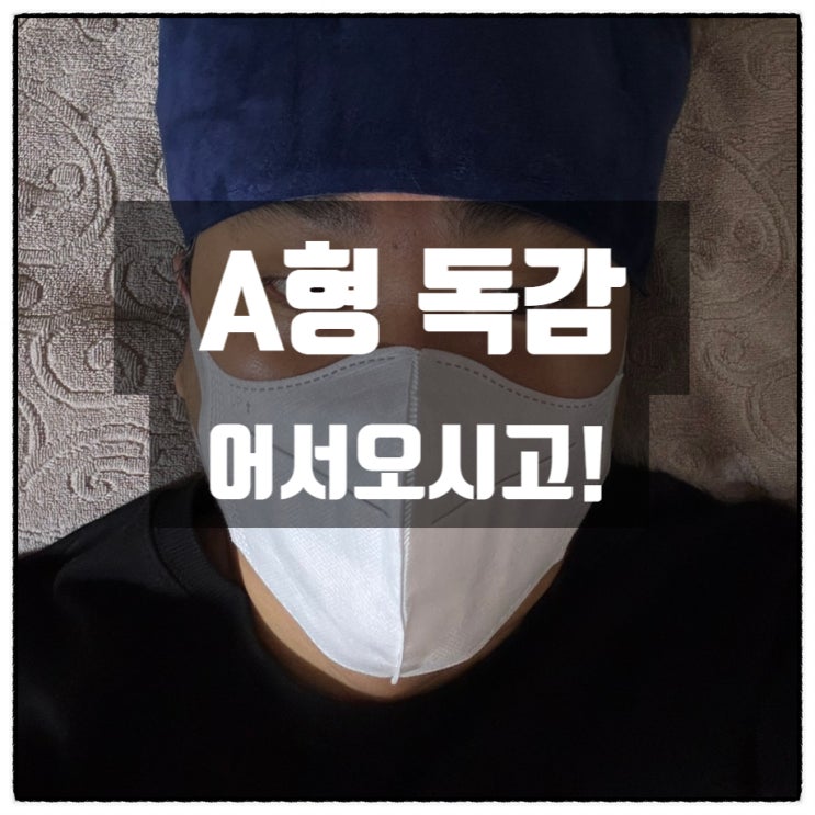 A형독감 어서오시고 독감치료제 수액 링거 알약 캡슐 가격차이 A형독감 어서오시고 독감치료제 수액 링거 알약 캡슐 가격차이