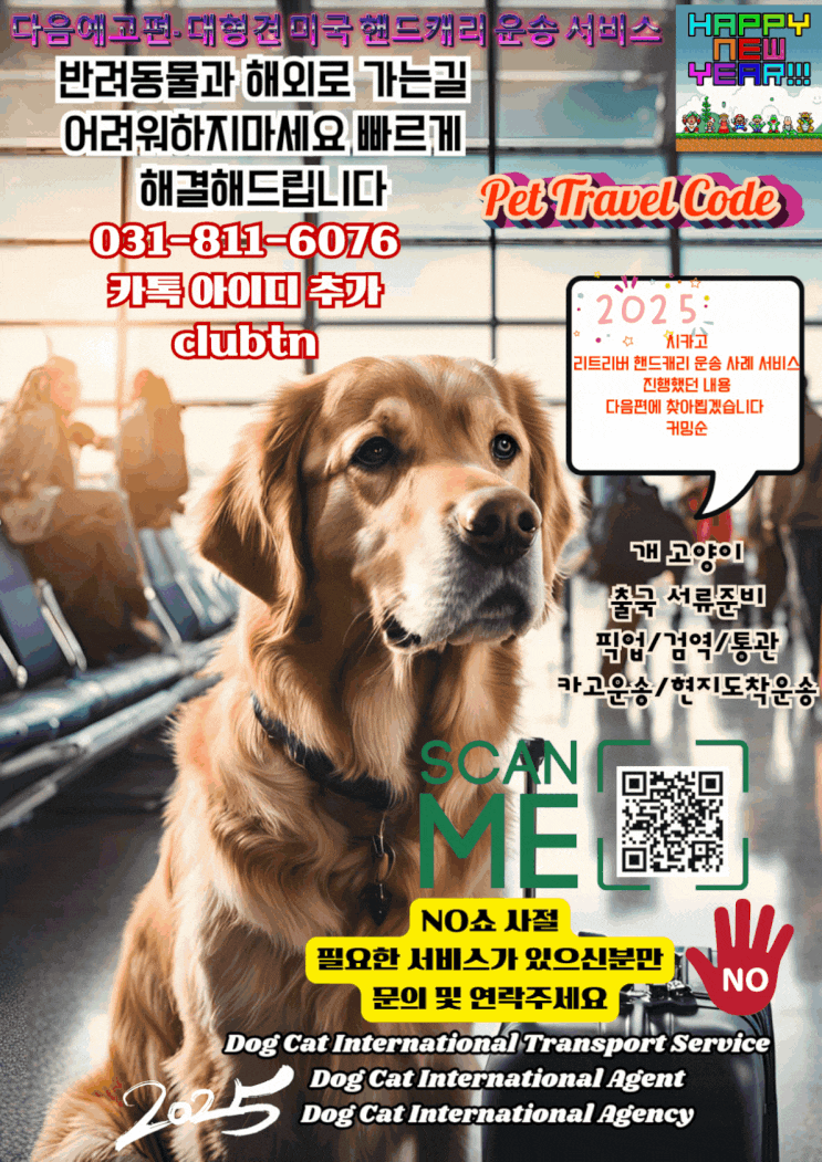  한국에서 미국으로 대형견 37KG 리트리버 강아지 (개) 핸드캐리운송 반려동물 해외운송