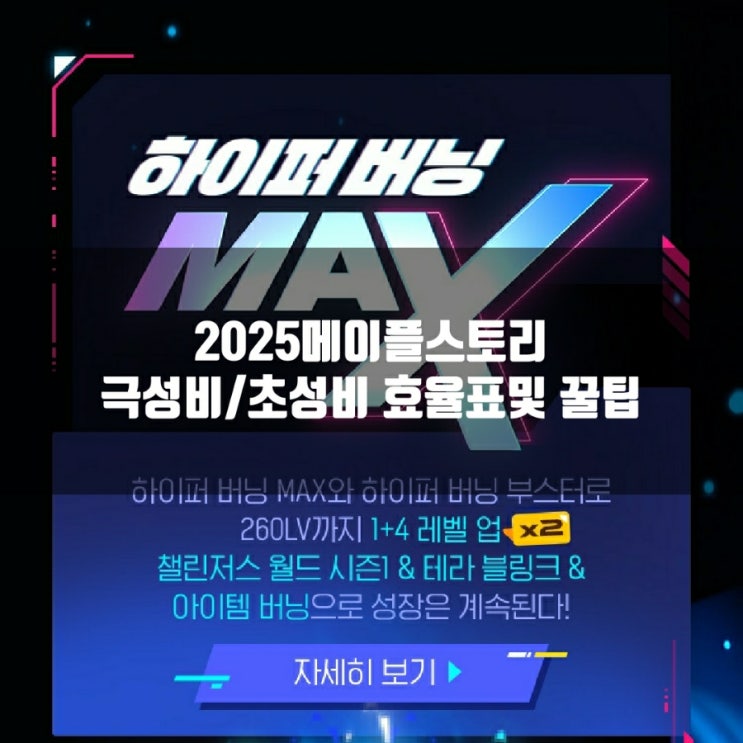 2025 메이플스토리 극성비/초성비 효율표 총정리 2025 메이플스토리 극성비/초성비 효율표 총정리