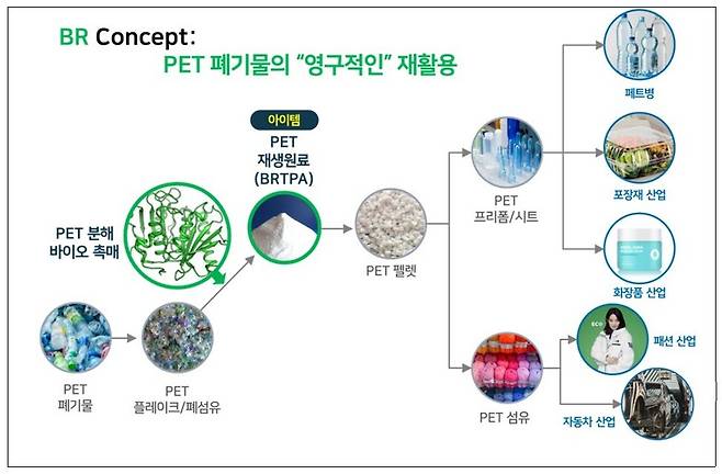 페트병 이제는 완벽한 재활용이 가능한 바이오촉매 국내 연구팀 개발