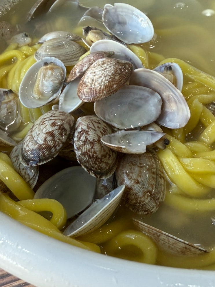  [안양.평촌.범계.호계][바지락칼국수] 맛집 황도 바지락칼국수