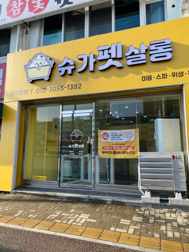 사진 8