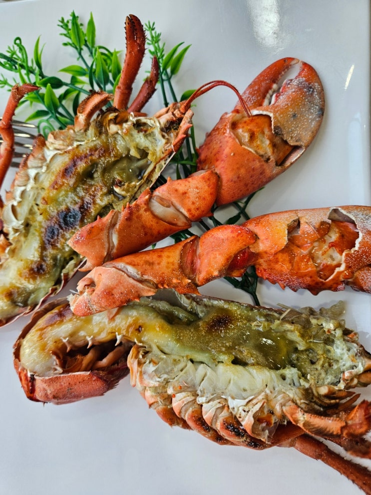  배곧횟집 정왕동랍스터맛집 한상차림전문 회토랑