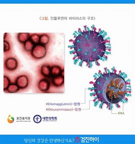 예방접종 시기 각종 백신의 종류