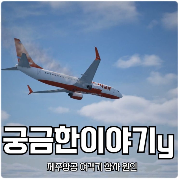 궁금한이야기y 제주항공 <b>여객기 참사</b> 원인