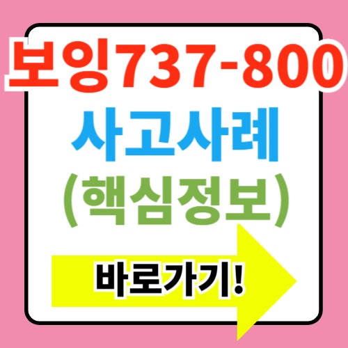  보잉 737-800 사고 사례 과연 안전한가? 다른 항공사는?