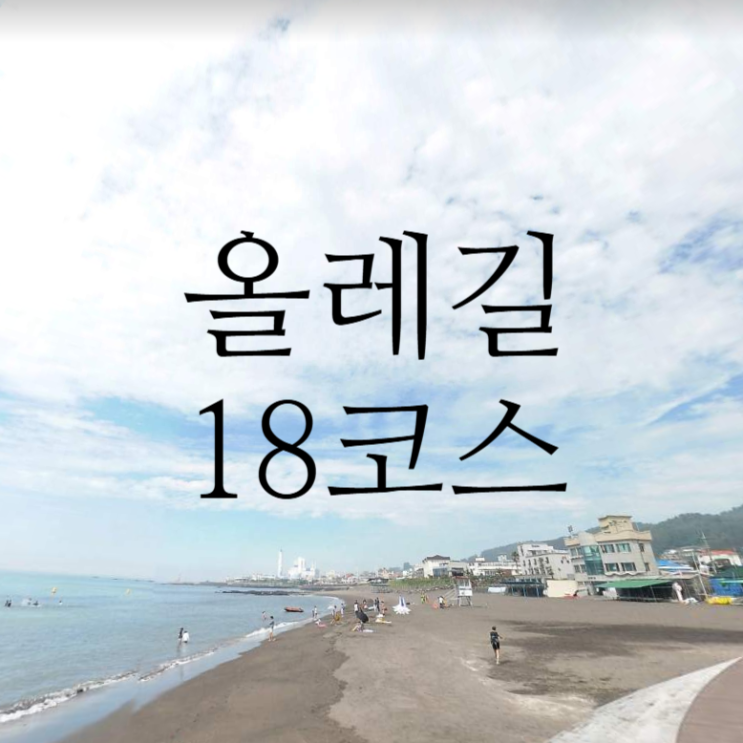  [올레길 18코스] 제주도 올레길 직접 다녀온 후기, 꿀팁, 정리