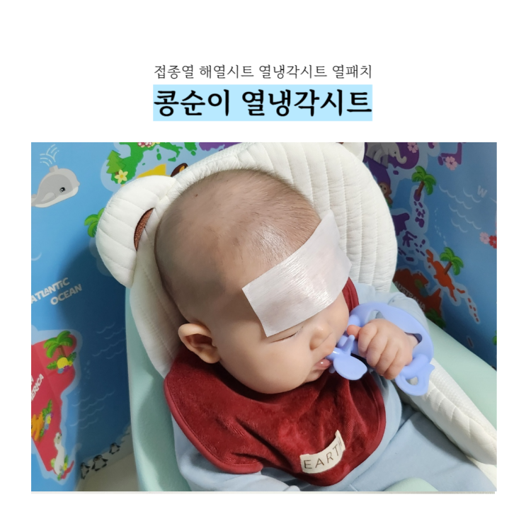  해열시트 접종열 콩순이 열냉각시트로 안전하게 내렸어요