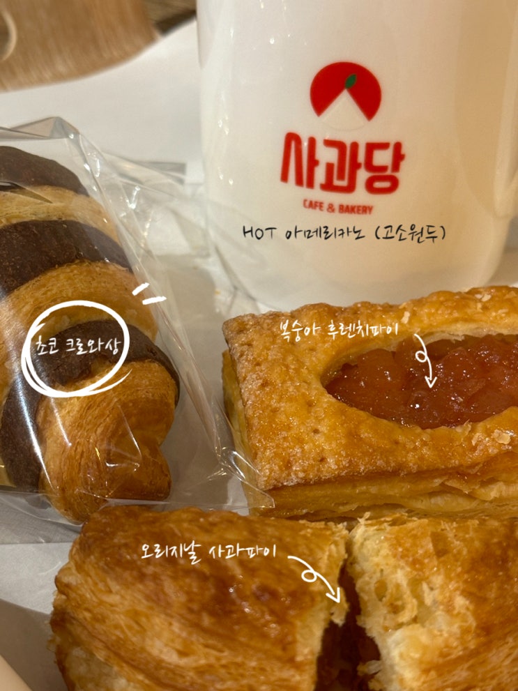  목동 24시 카페 유럽느낌 분위기좋은 베이커리카페 사과당