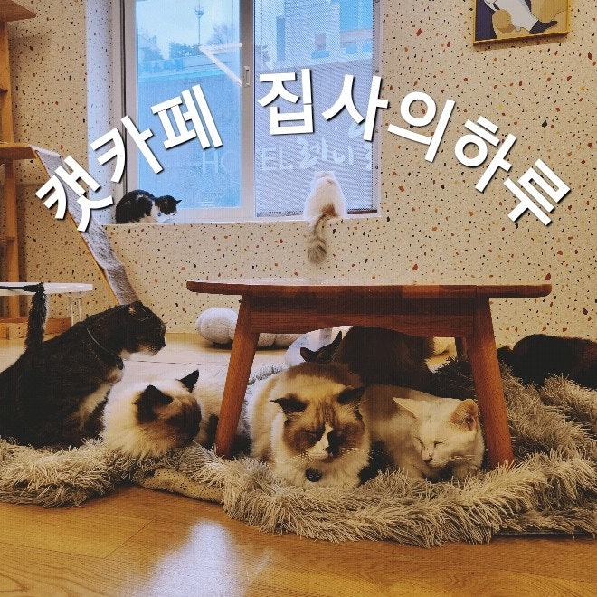사진 2