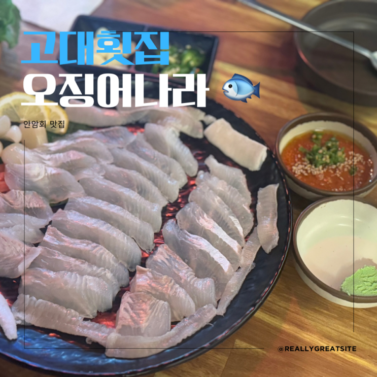  고대 횟집 ㅣ 오징어나라고대점 ㅣ회에 매운탕 새우오징어튀김맛집