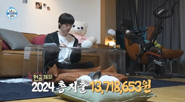 나혼산 <b>안재현</b> 작년 총<b>지출</b> 카드값 918만원 포함 <b>1300만원</b>... 