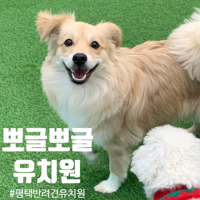 사진 8
