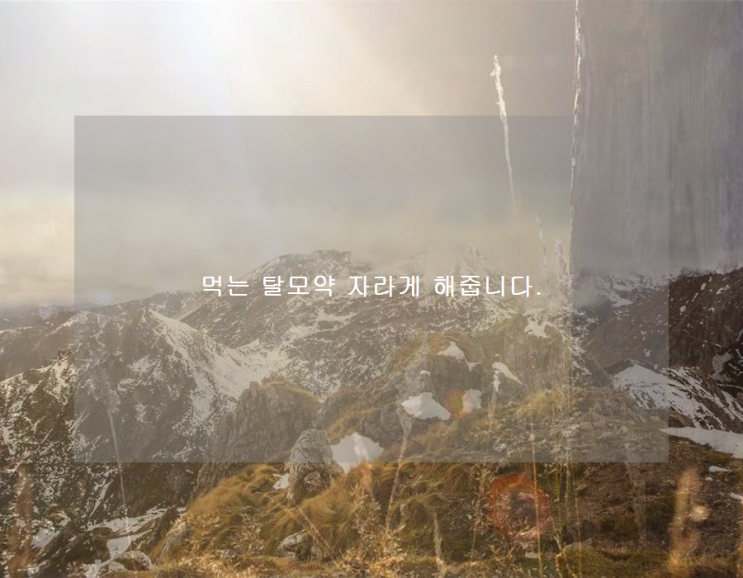 먹는 <b>탈모약</b> 자라게 해줍니다.