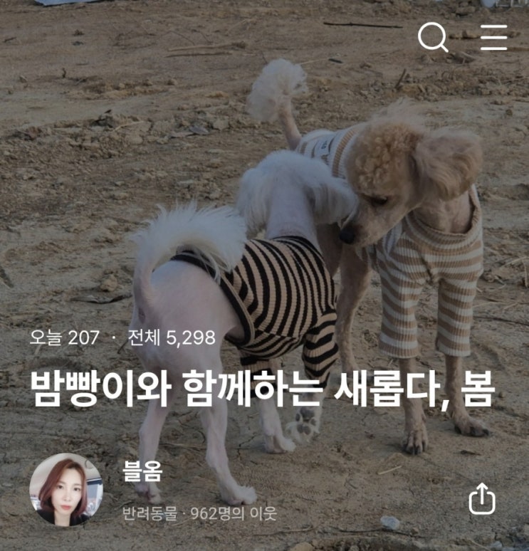  네이버 애드포스트 신청 및 결과