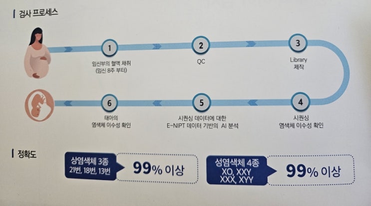  35세 이상 임산부 니프티검사(제노맘아이)(검사시기와 비용, 결과)
