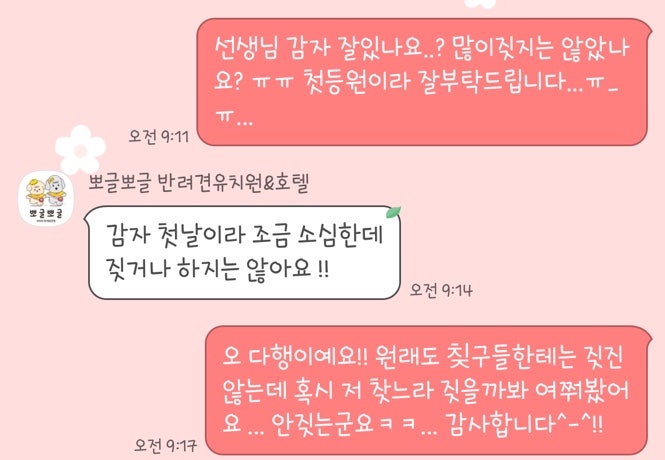 사진 9