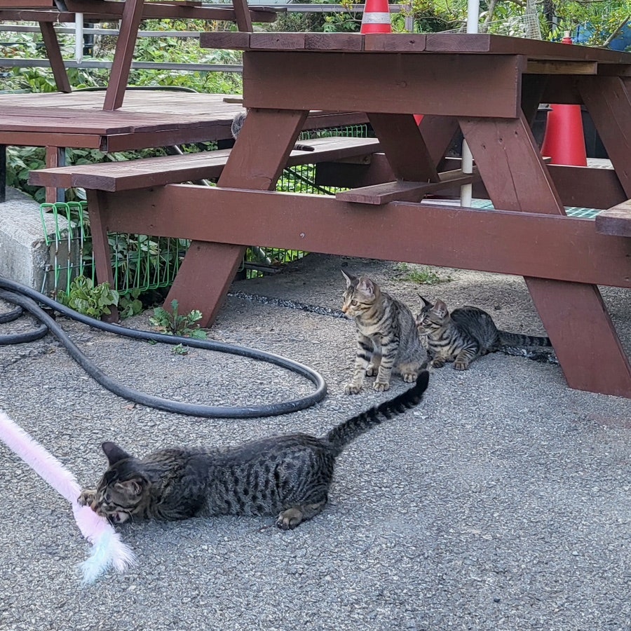 산울림펜션 사진 2