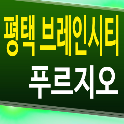  평택 브레인시티 3블럭 푸르지오 대단지 아파트 장안동 대우건설 신축 분양가격