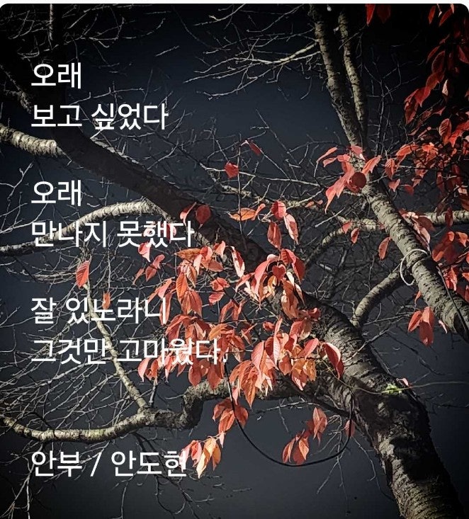 오래 보고 싶었다 오래 보고 싶었다