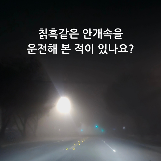  인생의 짙은 어둠속에서 당신이 경험한 '작은 빛'은 어떤 것이었나요? 그림책 <작은 빛 하나가>를 소개합니다.