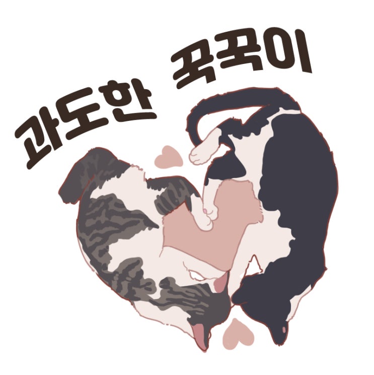  고양이 과도한 꾹꾹이 너무 잦으면 문제가있는걸까요?