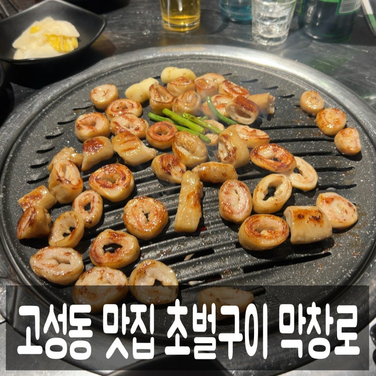  대구 고성동 술집 막창로 고성점 모든 메뉴 다 먹어 본 내돈내산 후기