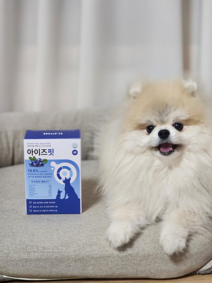 강아지 갈색눈물 효과적인 아이즈핏 눈 영양제