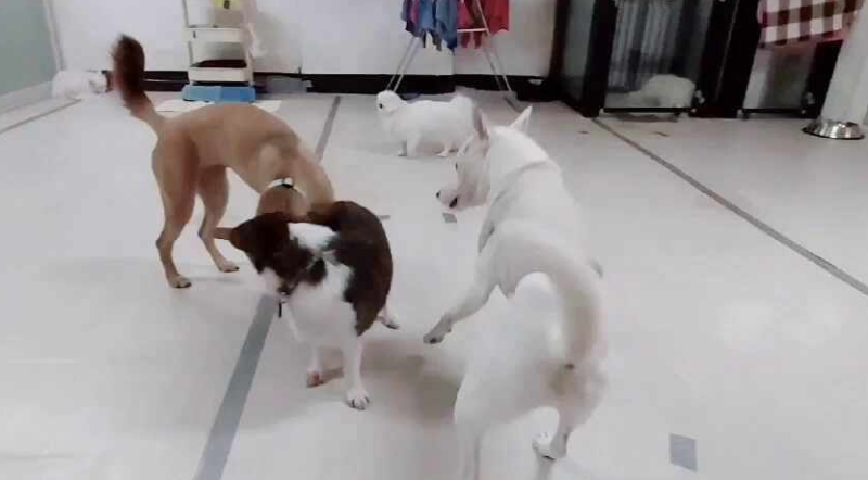 사진 3