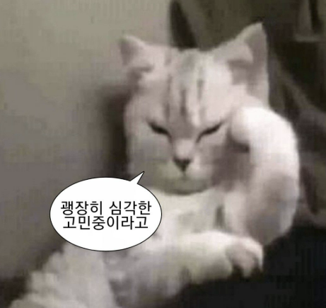   wed 3. 웨딩 플래너 선정을 해보자 feat. 아이니 웨딩 vs 베리굿 웨딩 비교상담 및 계약 후기