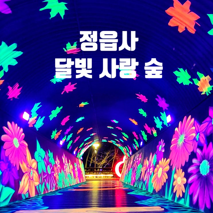 〔전북정읍〕정읍사 공원 야경-정읍사 달빛사랑 숲 야경-정읍천 야경-정읍 야경 명소-정읍 미디어아트-전주 근교 미디어아트