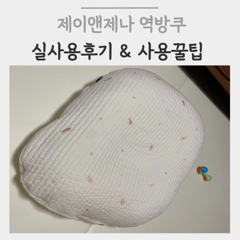 제이앤제나 역방쿠 당근해도 될까? 사용 꿀팁