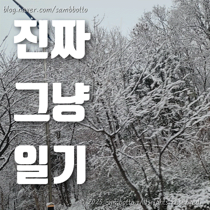  진짜 그냥 일기 | 밤 사이 시작된 폭설, 내일도 아침 운동을 가기 위한 도시락 미리 싸두기, 올리브유 넣은 밥, 알타리 볶음밥, 쯔유로 알감자 조림