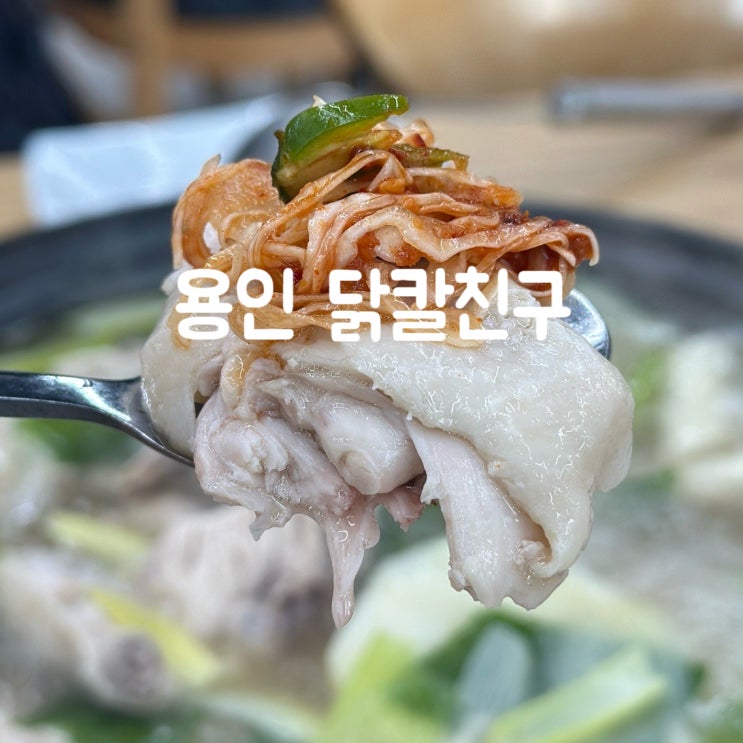  용인 기흥역 맛집 닭한마리 닭칼친구