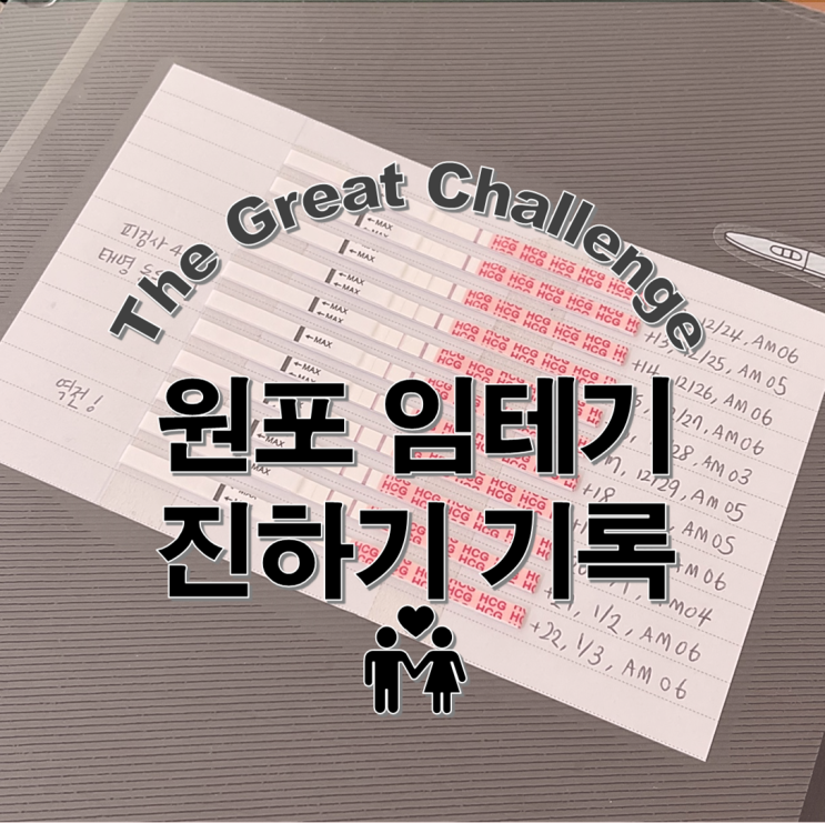  원포 임테기 배란12일차부터 역전까지 기록! 제조번호 219