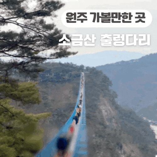  원주  가볼 만한 곳 소금산 출렁다리 울렁다리 코스 길이 소요시간