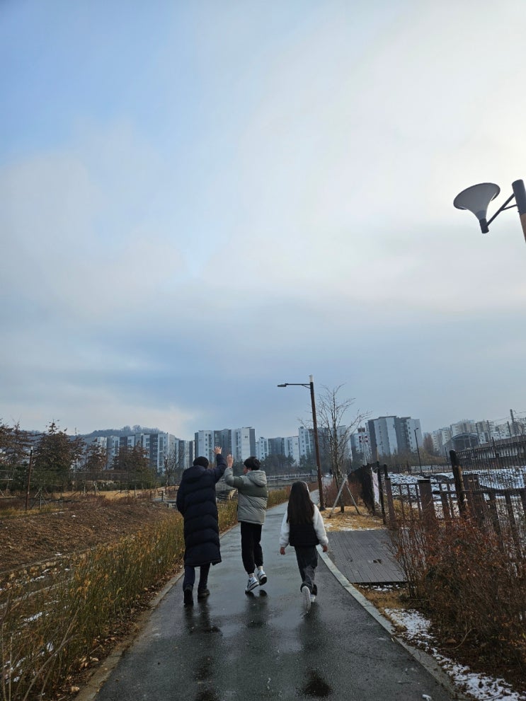  감사일기 534일차