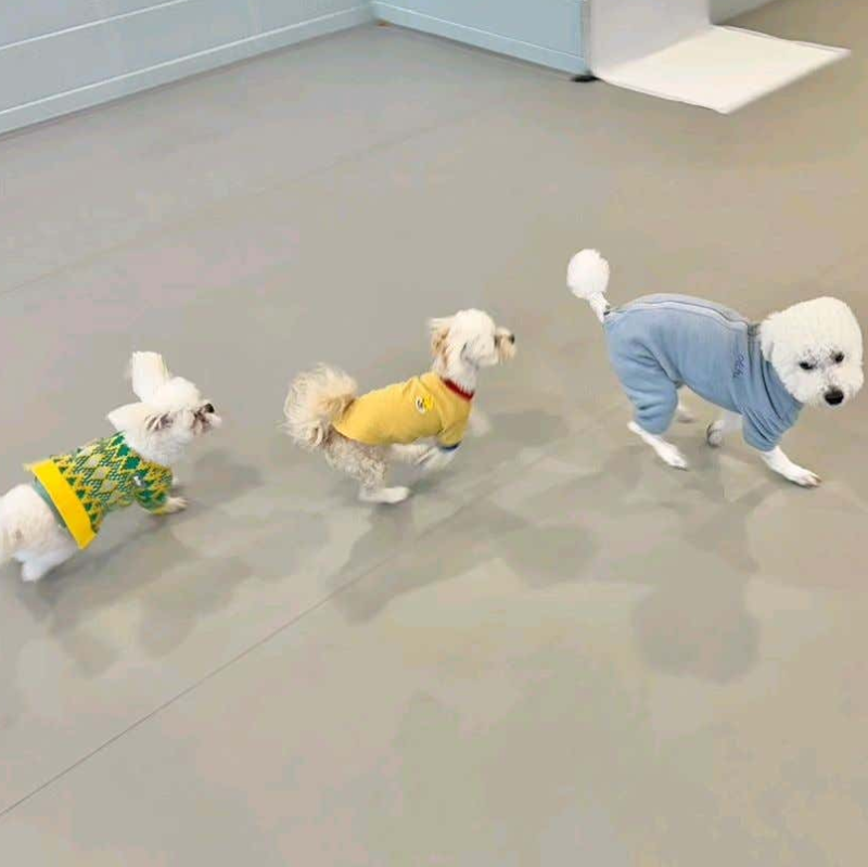 사진 3