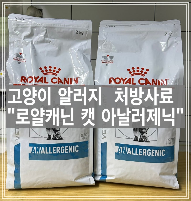 알레르기 있는 고양이를 위한 처방 사료 로얄캐닌 캣 아날러제닉