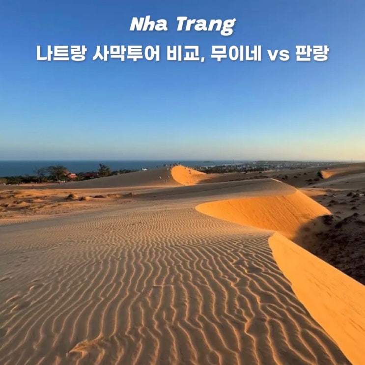  나트랑 여행 무이네 판랑 사막투어 비교 예약 선택 이유?