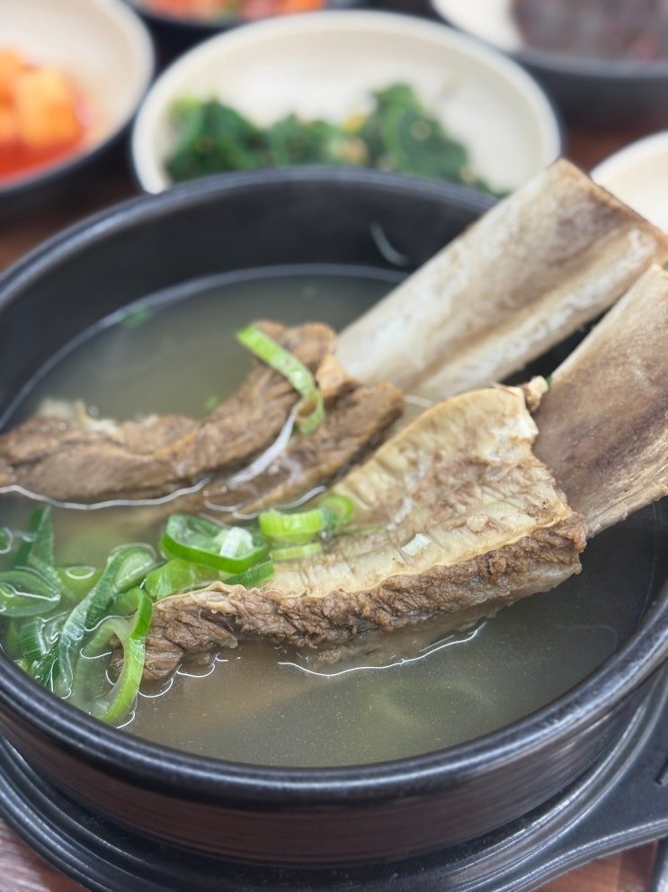  [진해 서원경갈비탕] 깊고 진한 국물 맛 왕갈비탕 소갈비찜 맛집 창원 서원경갈비탕