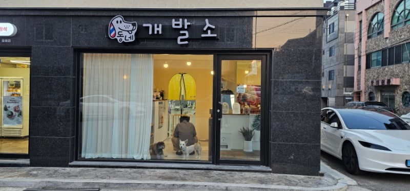 동네개발소