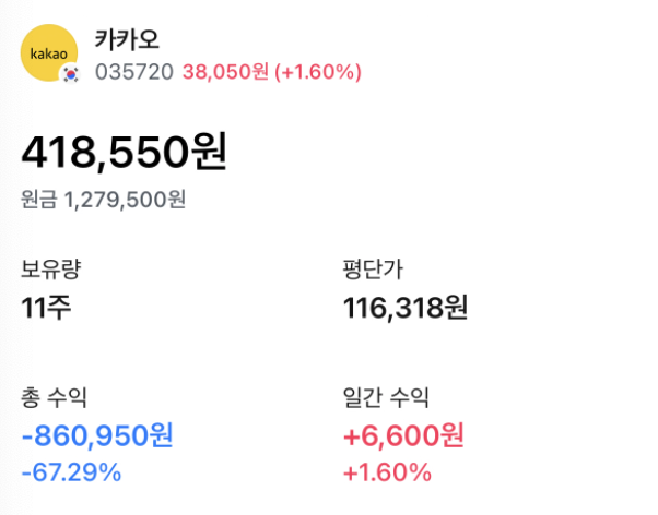  카카오를 11만원에 매수한 자, 그리고 국장의 미래